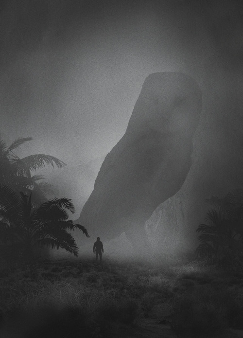 TheDraculaClan Owl ( httpswww.tumblr.comsearchthelonelyowl ) tumblr_oowhxfncwO1w7cj5lo1_500