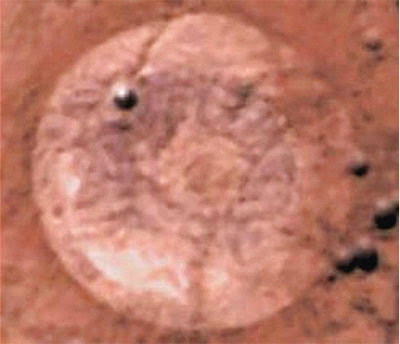 TMA-1 -The Martian Artifact