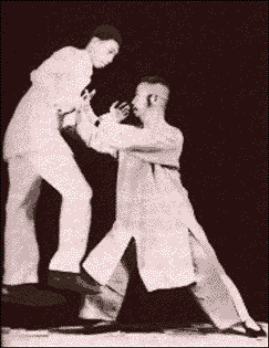 Push Hands - Prof Cheng and Willimam CC Chen.