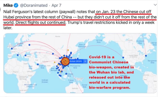 Covid19 Hubei Dispersion Point