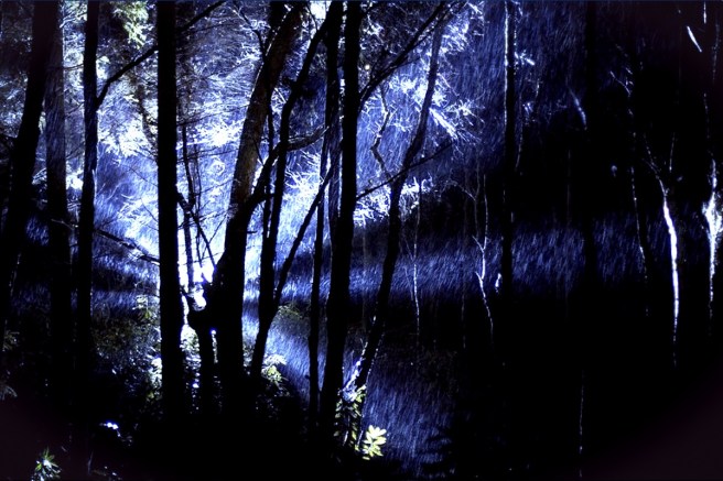 Left At Light rendelsham-forest